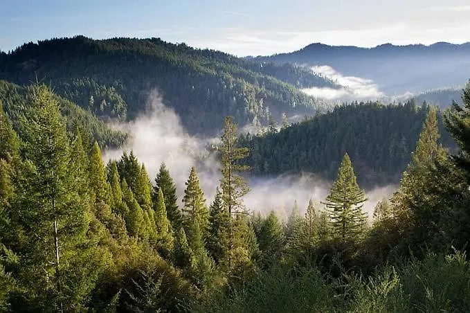 The Nature Dreams I Vacations I Conference I Mice I Family Events I Open Air Terrace I Sky Bonfire I Kufri By Exotic Stays Shimla India