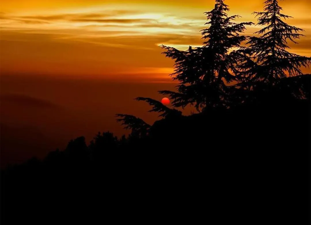 The Nature Dreams I Vacations I Conference I Mice I Family Events I Open Air Terrace I Sky Bonfire I Kufri By Exotic Stays Shimla Hotel